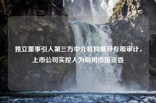 独立董事引入第三方中介机构展开专项审计，上市公司实控人为铜川市国资委