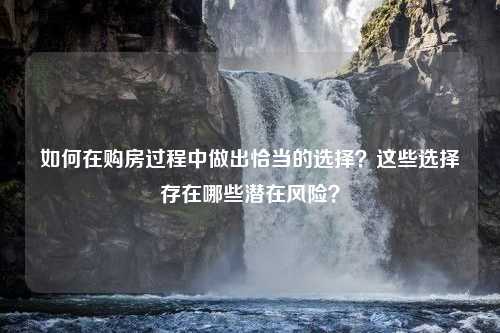 如何在购房过程中做出恰当的选择？这些选择存在哪些潜在风险？