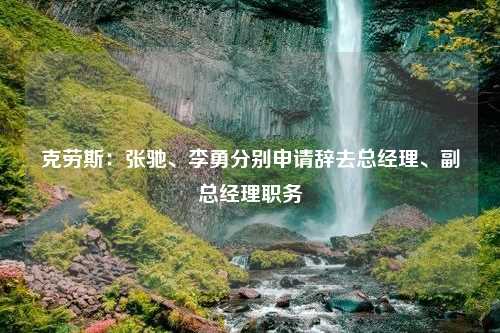 克劳斯：张驰、李勇分别申请辞去总经理、副总经理职务