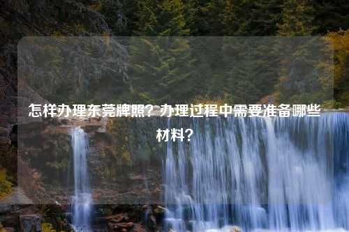 怎样办理东莞牌照？办理过程中需要准备哪些材料？