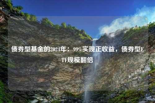 债券型基金的2024年：99%实现正收益，债券型ETF规模翻倍