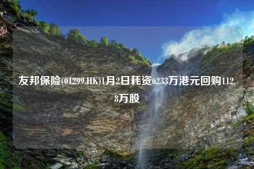 友邦保险(01299.HK)1月2日耗资6233万港元回购112.8万股