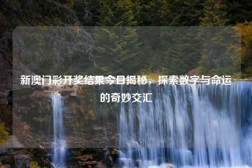 新澳门彩开奖结果今日揭秘，探索数字与命运的奇妙交汇